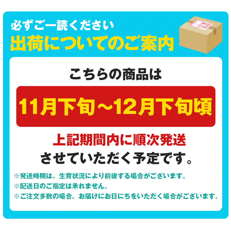 訳あり みかん 6.3kg (6kg+保証分300g程度) 3kgx2箱セット 和歌山県産 早生みかん 温州みかん ミカン 蜜柑 柑橘 わけあり 常温便 同梱不可 指定日不可