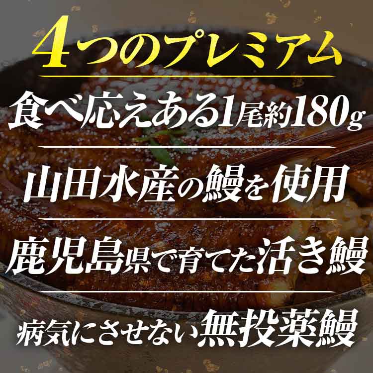 国産 鹿児島県産 うなぎ 無投薬 2尾 ( 約180g×2 )