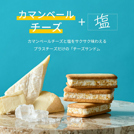 +Cheese プラスチーズ それはおいしい方程式！ 14個入り （チーズサンド6個・チーズガレット4個・チーズタルト4個）