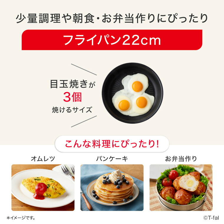 ティファール T-fal インジニオ・ネオ フレーズグレー フライパン L16103 22cm 単品 ガス火専用 IH不可