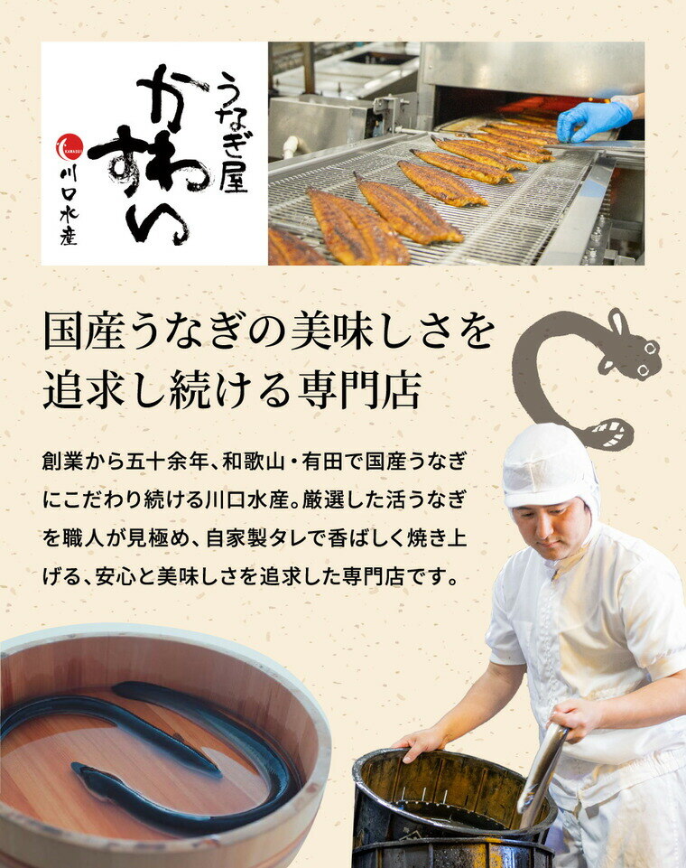 酒類 選べるビールとうなぎ セット ゾウのマイ2本 家飲みセット