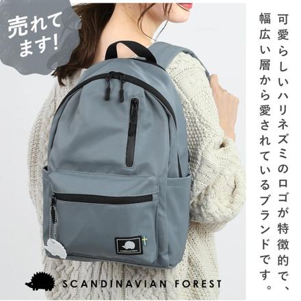 SCANDINAVIAN FOREST スカンジナビアンフォレスト 12ポケットデイパック デイパック BLACK