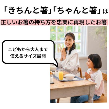 ちゃんと箸 子供用 きちんと箸 大人用 矯正箸 おとな用21cm 左利き用