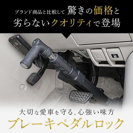 車 盗難防止ロック pMyv15 盗難防止ロック ブラック