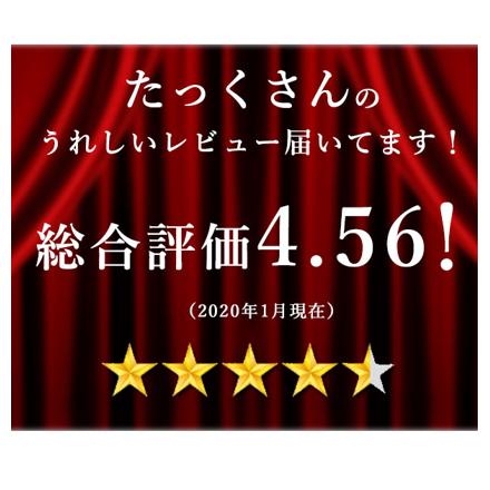 ヨコズナ トイレ2点セット 洋式2点 ハーバリウム