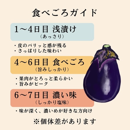 彩茄 水なすキムチ ぬか漬け 食べ比べ 水茄子 大阪泉州 4(ぬか漬け2袋+キムチ2袋)袋入 チルド 冷蔵品 メーカー 問屋直送|漬物 キムチ 濃厚 コク 手作り おつまみ ごはんのお供 晩酌 浅漬け みずみずしい 岸和田市 名産品 高級食材 なす