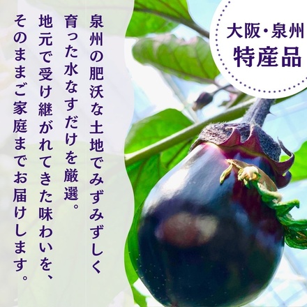 彩茄 水なすキムチ ぬか漬け 食べ比べ 水茄子 大阪泉州 6(ぬか漬け3袋+キムチ3袋)袋入 チルド 冷蔵品 メーカー 問屋直送|漬物 キムチ 濃厚 コク 手作り おつまみ ごはんのお供 晩酌 浅漬け みずみずしい 岸和田市 名産品 高級食材 なす