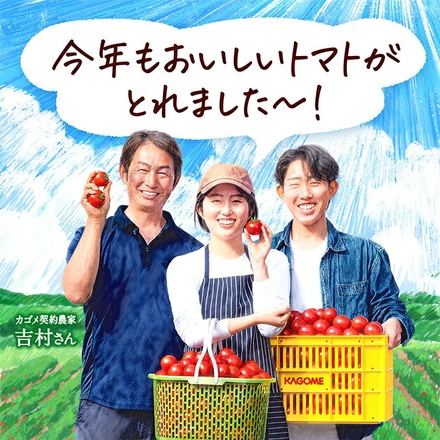 カゴメ トマトジュース プレミアム 食塩無添加 195ml紙パック×24本入×(3ケース)|プレミアム トマトジュース 国産トマト100%