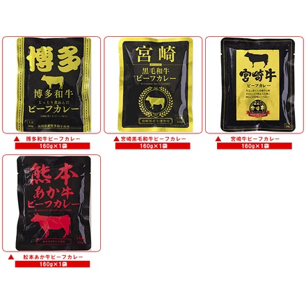 響 ビーフカレー 10種詰め合わせセット 160g×10袋入|レトルト食品 レトルトカレー ご当地 ご当地カレー