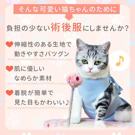 MILASIC 猫 術後 ウェアー ブルー Sサイズ TN-PACH-BU-S