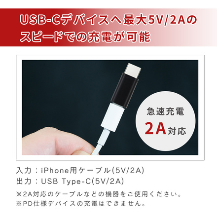 mitas Type-c 変換アダプター iPhone ケーブル 変換アダプタ 3+1本セット TN-TCLT-GD ゴールド