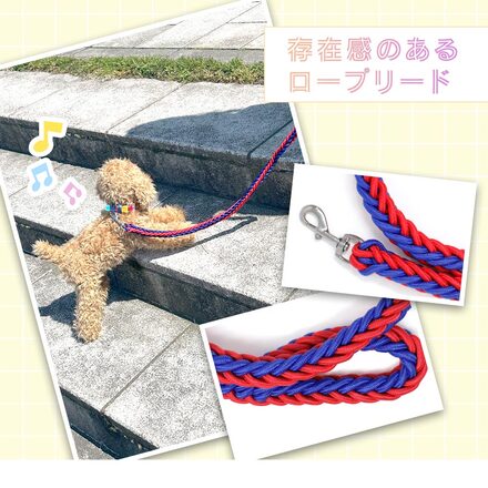 MILASIC 犬用 ロープ リード ブラック×ピンク Mサイズ TN-DRPL-B-M