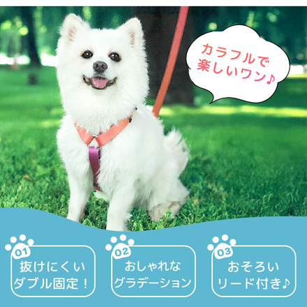 MILASIC 犬用 ハーネス ブルー Sサイズ TN-DGEG-BU-S