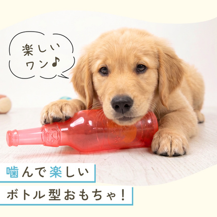 MILASIC 犬用おもちゃ ボトル型 ボール入り ブルー Mサイズ TN-DGBTY-BU-M