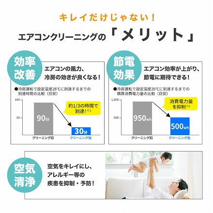 エアコンクリーニング お掃除機能つき 2台目以降 家庭用 除菌 抗菌剤入り 全国対応 風呂場不使用 ベイシア電器のエアコンクリーニング