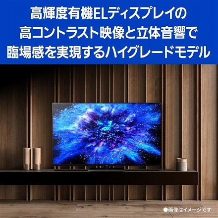 パナソニック ビエラ 有機EL テレビ 55V型 4Kチューナー内蔵 TH-55MZ1800