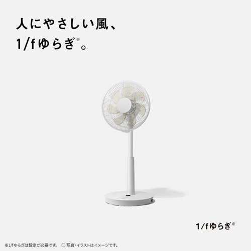 扇風機 DCリビング リモコン有り 24cm GY シィーネット CFDC240GY