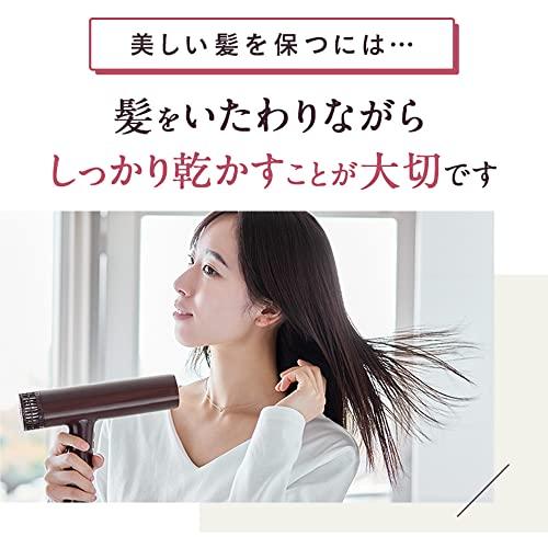 イオンケアドライヤー Le ment LM-ICD01