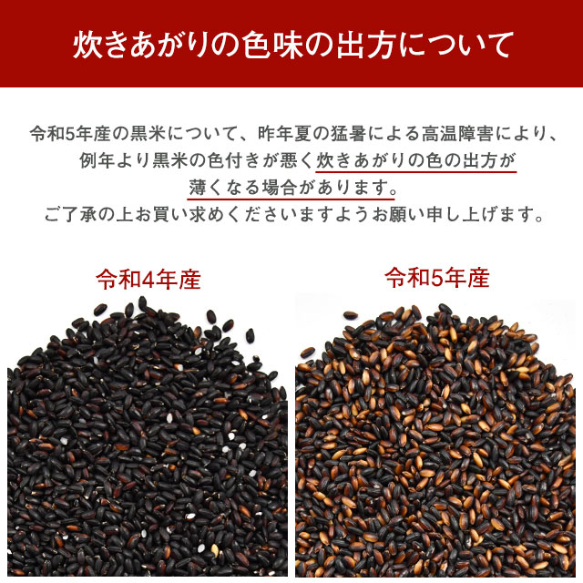 【800g(400g×2)】 雑穀 未来雑穀21　マンナン無添加　国産