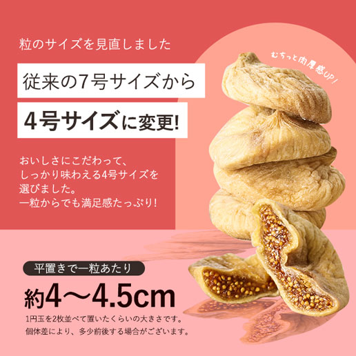 ドライいちじく 500g トルコ産