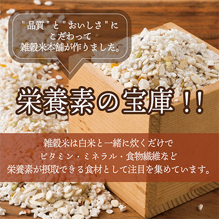 雑穀米本舗 糖質制限 究極のダイエット雑穀 2.7kg(450g×6袋)