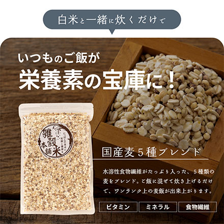 雑穀米本舗 国産 麦5種ブレンド(丸麦/押麦/はだか麦/もち麦/はと麦) 450g