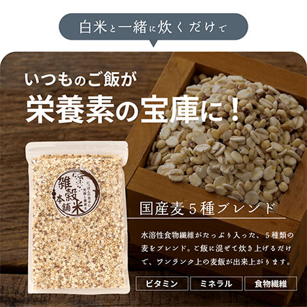 雑穀米本舗 国産 麦5種ブレンド 4.5kg(450g×10袋) [丸麦/押麦/はだか麦/もち麦/はと麦]