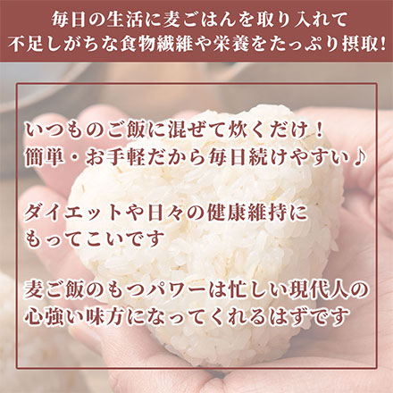 雑穀米本舗 国産 胚芽押麦 9kg(450g×20袋)