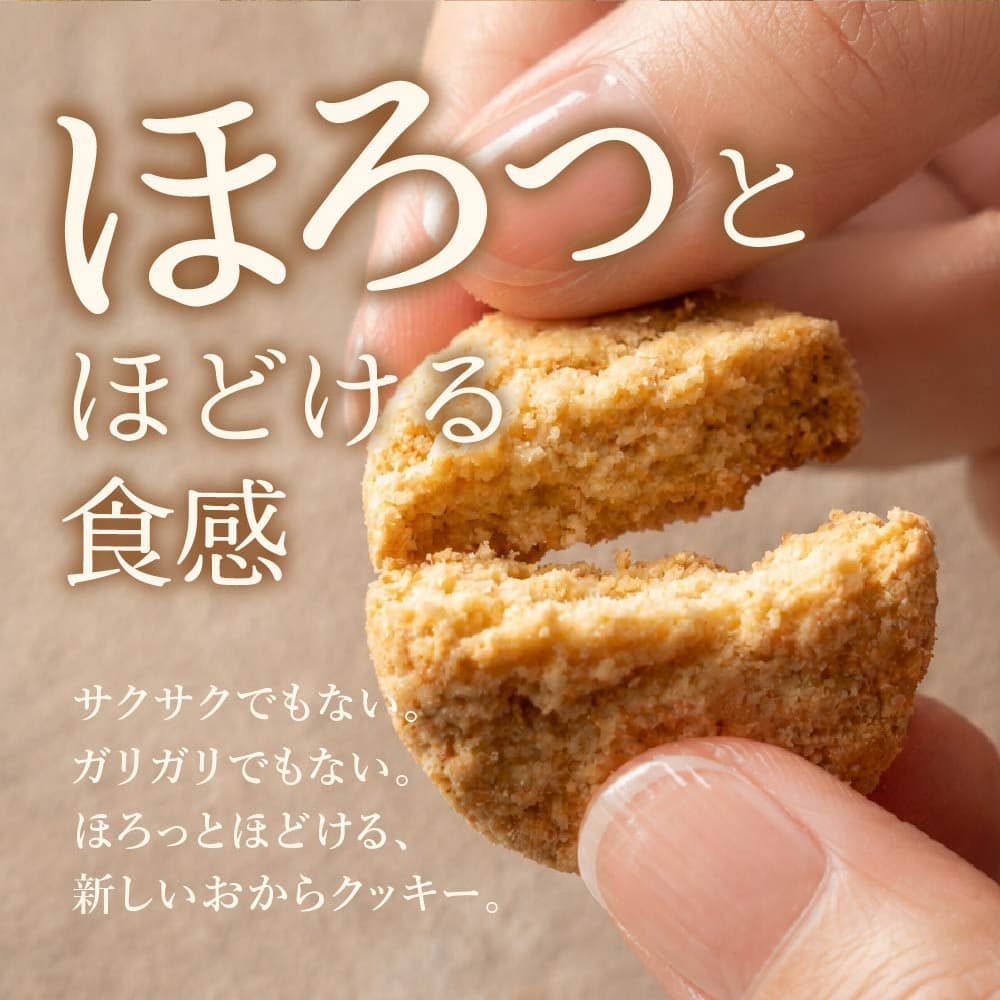 しっとりふわふわおからクッキー(抹茶) 【100g×1袋】※割れ欠けあり