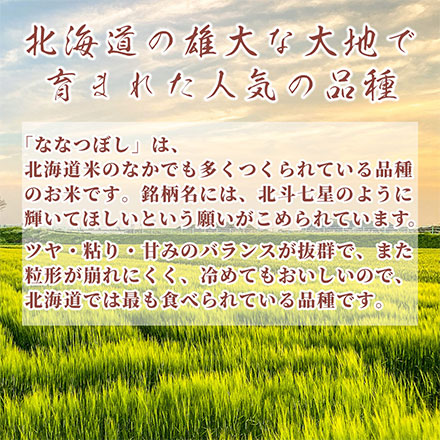 【白米】北海道産 ななつぼし 10kg(5kg×2袋)