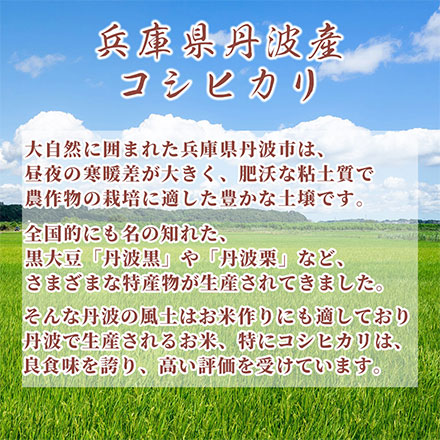 【白米】丹波産 コシヒカリ 20kg(5kg×4袋)