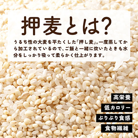 雑穀米本舗 国産 家計お助け米 押麦ミックス 300g