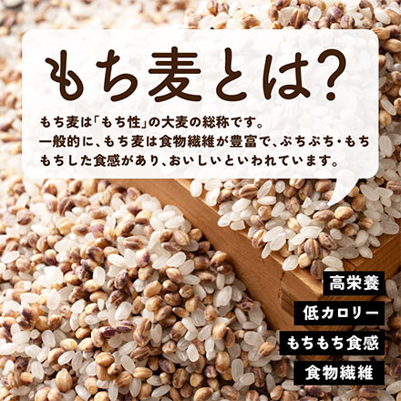 雑穀米本舗 国産 家計お助け米 もち麦ミックス 3kg(1kg×3袋)