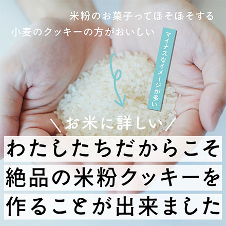 【贅沢米粉】グルテンフリークッキー チョコチップ【6袋】600g(100g×6袋) [約60枚]