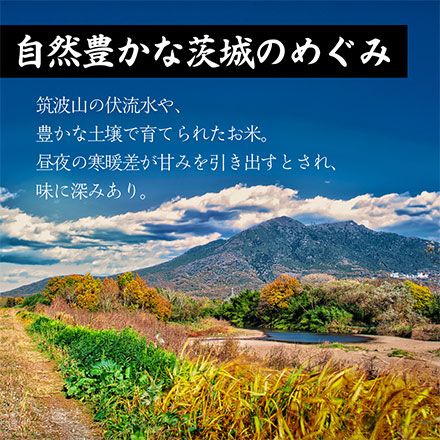 【白米】 令和7年産茨城県産 コシヒカリ 20kg(5kg×4袋)