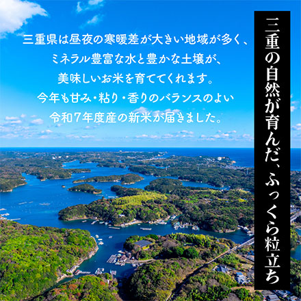 新米 三重県産 コシヒカリ 10kg ( 5kg×2 ) 令和7年産