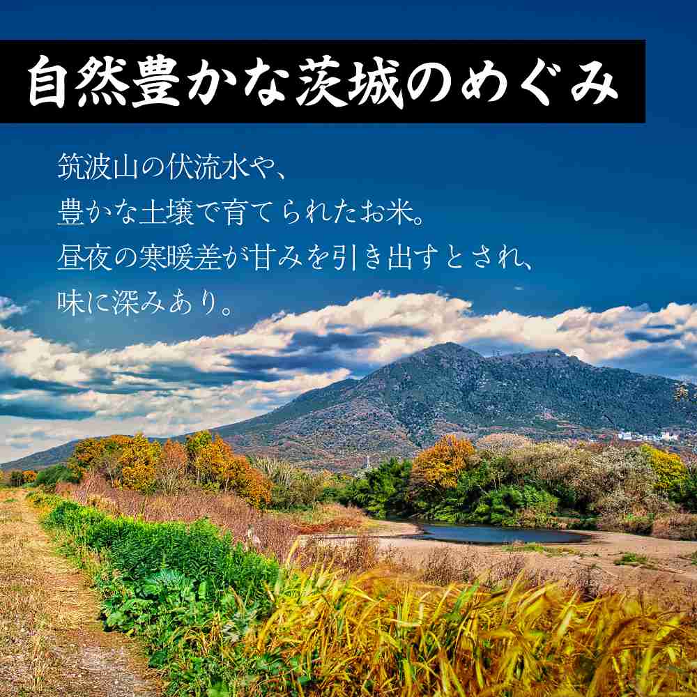 【白米】 令和7年産茨城県産 コシヒカリ 5kg(5kg×1袋)