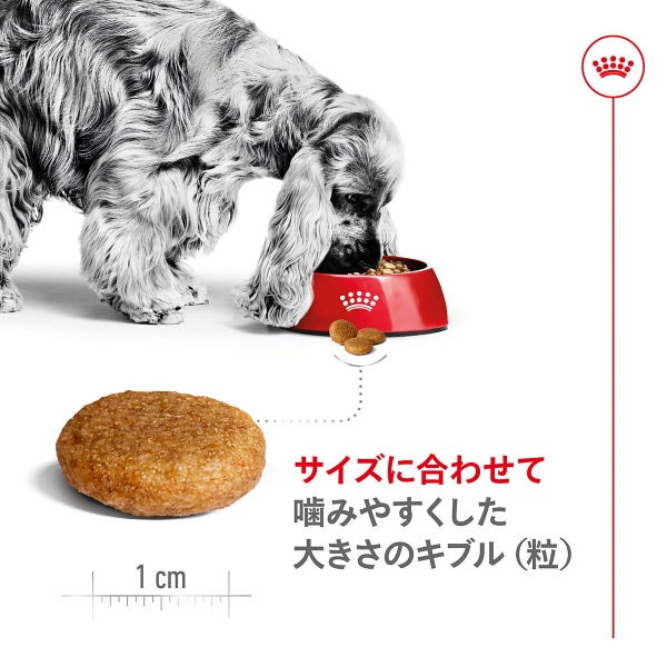ロイヤルカナン ミディアム アダルト（中型犬専用フード 成犬用） 4kg