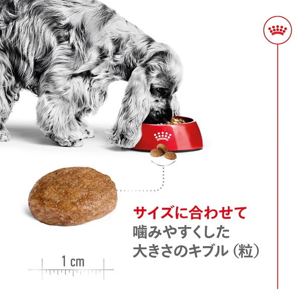ロイヤルカナン ミディアム アダルト 7+（中型犬専用フード 中高齢犬用） 4kg