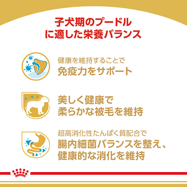 ロイヤルカナン プードル 専用フード 子犬用 800g