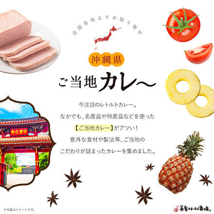 ご当地カレー詰合せ -沖縄県-