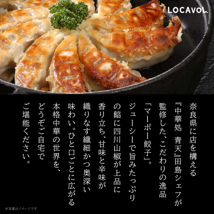 四川山椒が香るマーボー餃子 40個セット　美食うまいもん市場