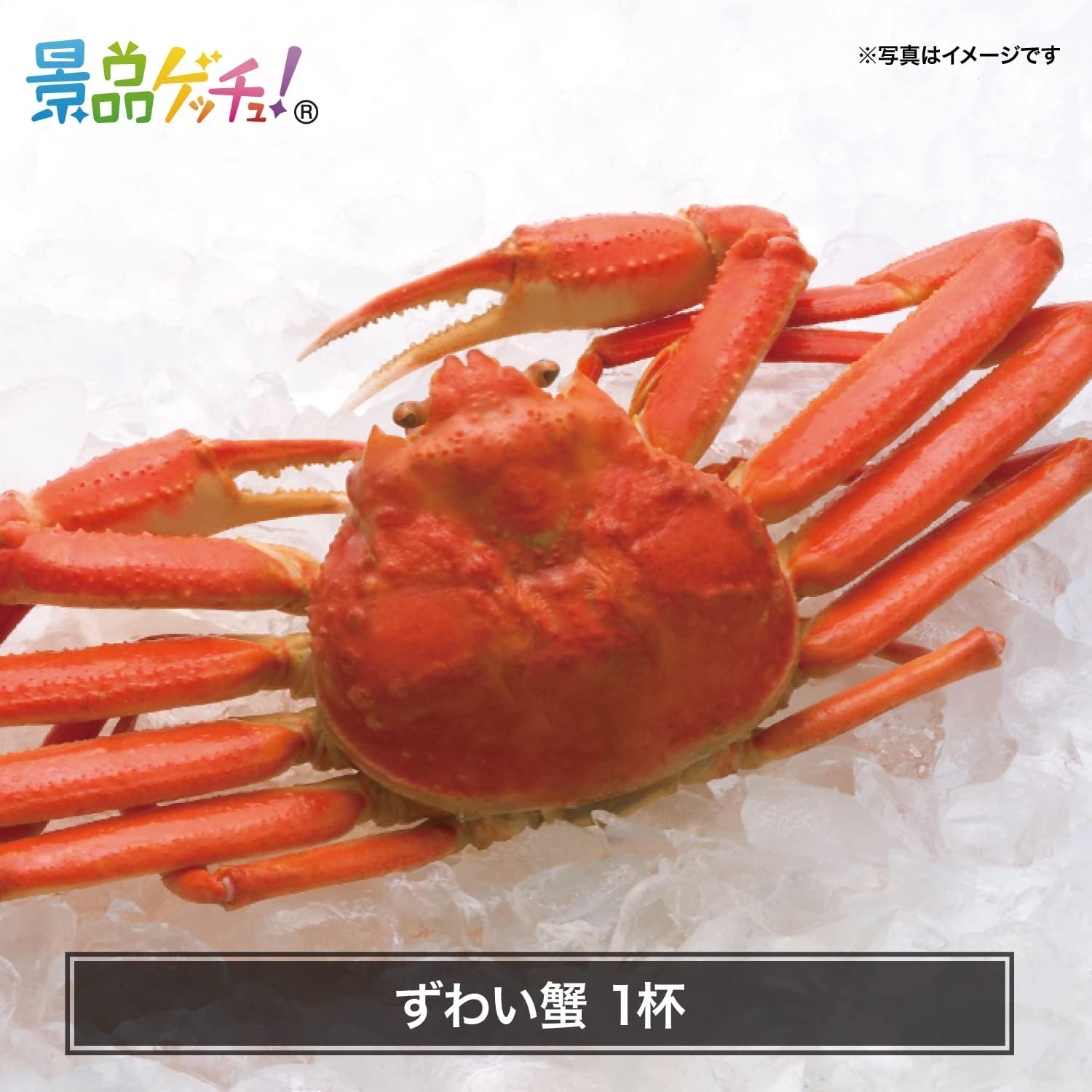 景品パネル・目録 【 ずわい蟹 1杯 （ 単品景品 ） 】 景品ゲッチュ！