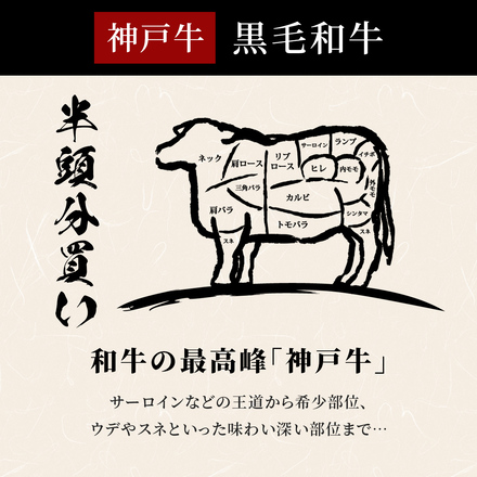 神戸牛 牛半頭分（一括配送）