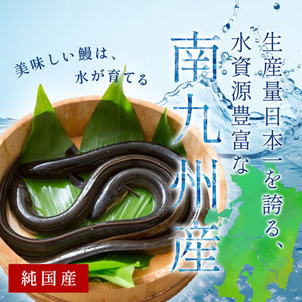 蒲焼うなぎ カット済 ※蒲焼（80g）＋ 鹿児島和牛・A5赤身 ミニステーキ 160g （約80g×2枚）