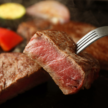 飛騨牛 焼肉 ヒレ 特盛 500g