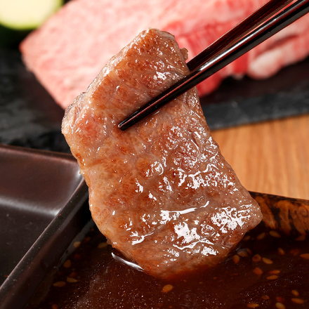 宮崎牛 特上赤身 焼肉 400g