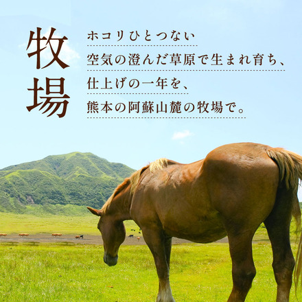 馬刺しと焼酎の晩酌セット【梅】