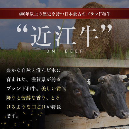近江牛 焼肉 食べ比べ 赤身 & バラ 400g │4等級以上未経産雌牛のみ使用