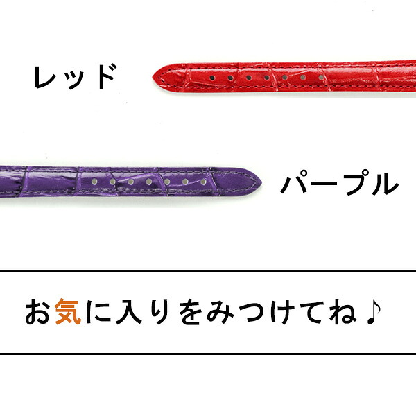 交換用ベルト ブランド 腕時計 カーフレザー バンビ 選べるモデル BK009 プレゼント ギフト